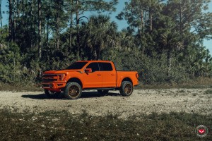 포드 F150