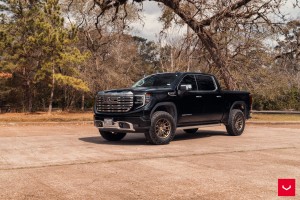 GMC 시에라 드날리