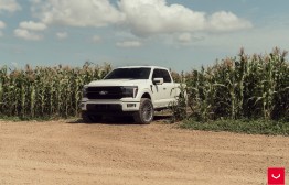 포드 F150