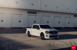 포드 F150